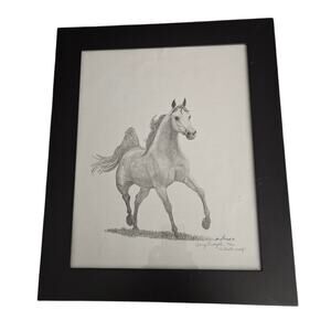 Amy Pirozok Signed Artist Proof Horse Drawing 1998 Ltd Ed 22/250 Framed